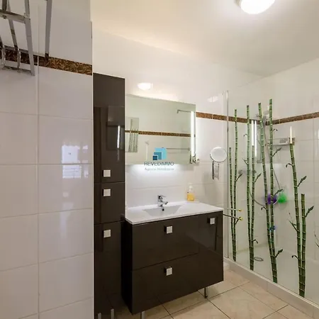 Appartement 2 Pieces Raphael Proche *